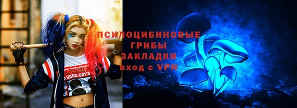 PSILOCYBIN Елизово