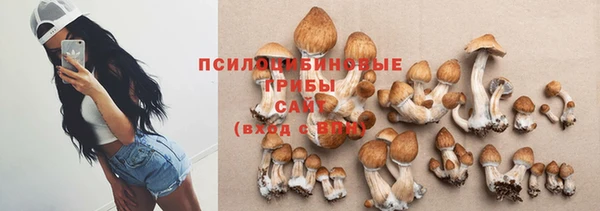 mix Ельня