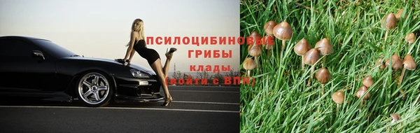 скорость mdpv Елабуга